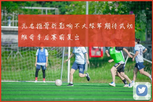 无名指骨折影响不大绿军期待武切维奇季后赛前复出