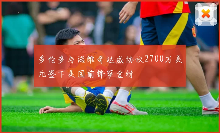 多伦多与诺维奇达成协议2700万美元签下美国前锋萨金特