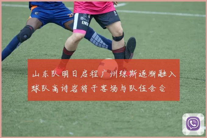 山东队明日启程广州琼斯逐渐融入球队高诗岩将于客场与队伍会合